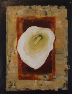 "Arum Lily1"