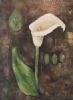 "Arum Lily 3"