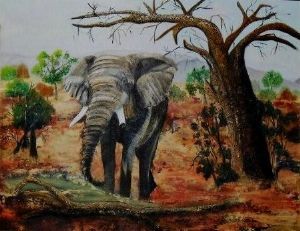 "Elephant in Africa"