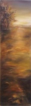 "Wildspan Campbell NC 2"