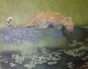 "Leopard Drinking"
