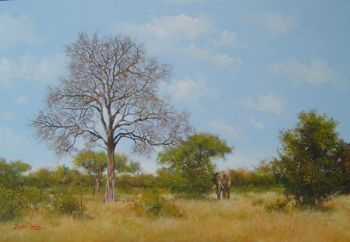 "Bushveld 1"