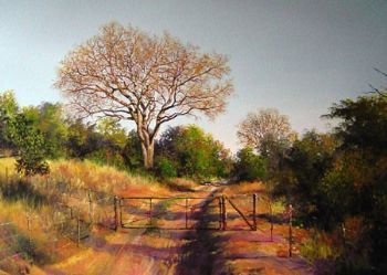 "Bushveld 3"