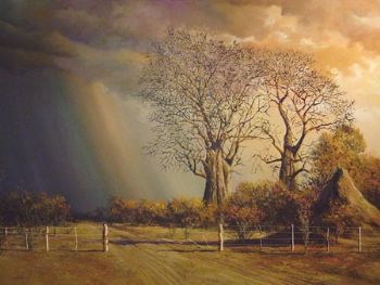"Bushveld 4"
