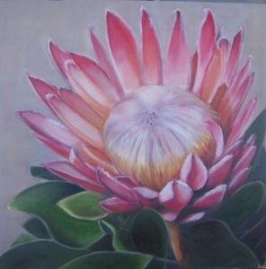 "Protea 3"