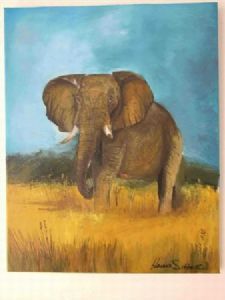 "African Elephant"