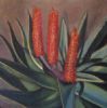 "Aloe"
