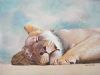 "Sleeping Lioness"