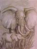 "Mother Elephant Love"