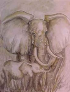 "Mother Elephant Love"