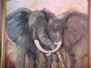 "African Elephant Courting"