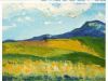 "Canola Fields in the Swartland"