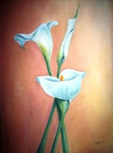 "Garden Arums 1"