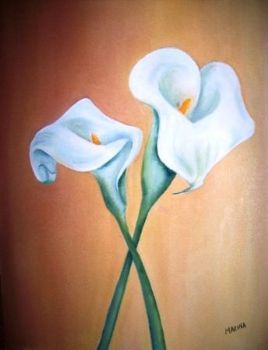 "Garden Arums 2"