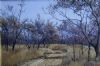 "Winter Bush 2"