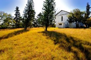 "The Golden Church"