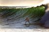 "The Surfer #5"