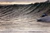 "The Surfer #6"