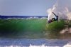 "The Surfer #12"