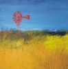 "Karoo Windmill #01"