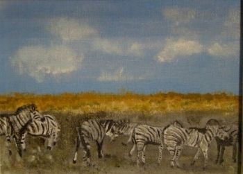"Zebras"
