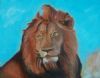 "The Lion"