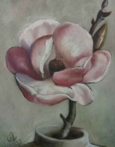 "Pink Magnolia"