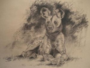 "Wild Dog in Charcoal"