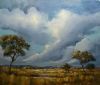 "Storm over the Bushveld"