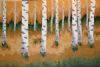 "White Birch Trees"