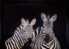 "Zebra Duo"