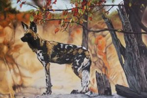 "African Wild Dog"