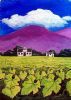"Vineyard "