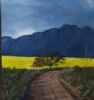 "Canola Field Swellendam"