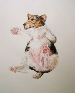 "Sleeping Puppy 1"