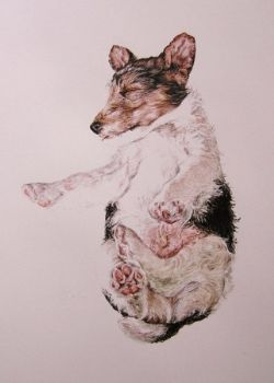 "Sleeping Puppy 2"