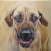 "Homeless Dog"