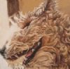 "Joyful spirit 2"