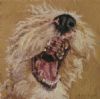 "Joyful Spirit 6"
