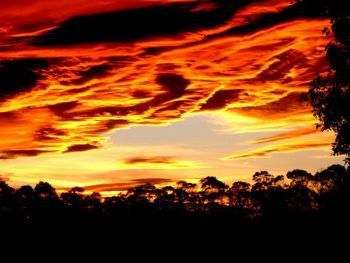 "Sunset"