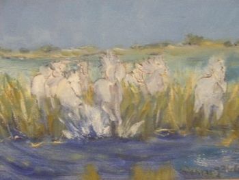 "Camargue Horses"