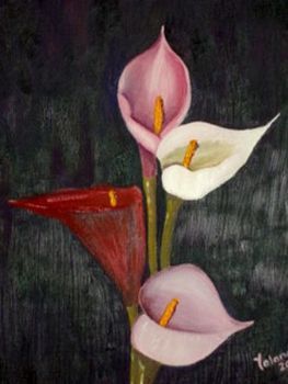 "Arum Lilies 4"