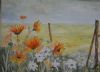 "Namaqualand Daisies"