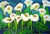 "Arum Lilies"