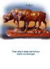 "Buffalo Bulls"