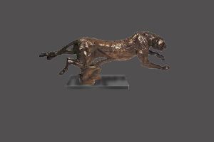 "King Cheetah"