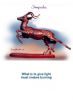 "Impala Chase"
