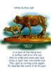 "White Buffalo Calf"
