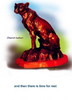 "Cheetah Lookout"