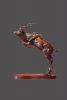 "Jumping Kudu"